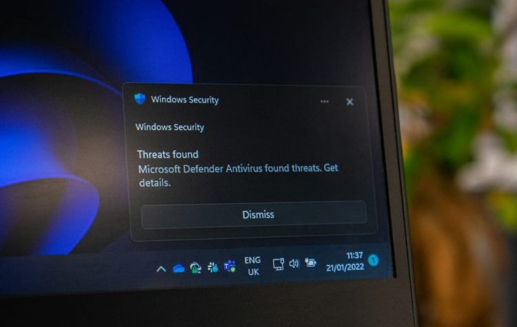 Importance des mises à jour régulières de sécurité Windows 11 pour prévenir les vulnérabilités